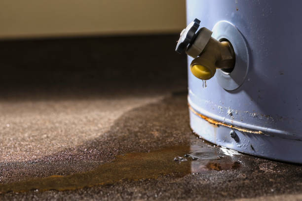 Best Commercial water damage restoration  in Sam Rayburn, TX