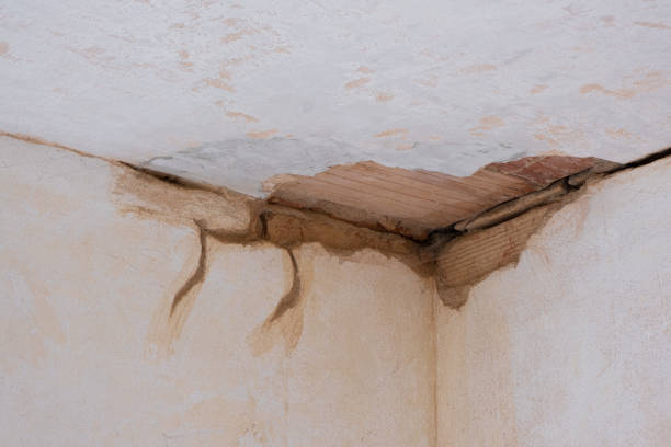 Best Sewage cleanup and water damage restoration  in Sam Rayburn, TX