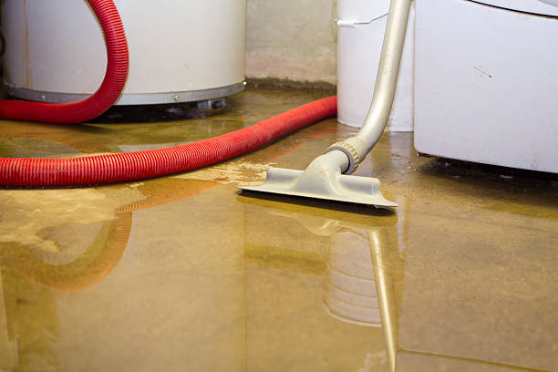 Best Flood restoration services  in Sam Rayburn, TX
