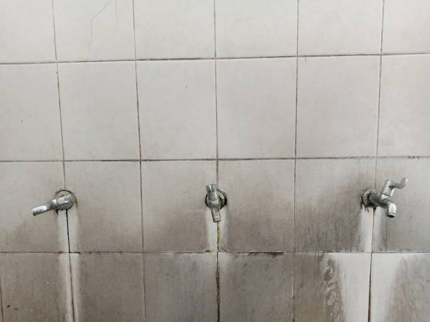 Best Commercial water damage restoration  in Sam Rayburn, TX