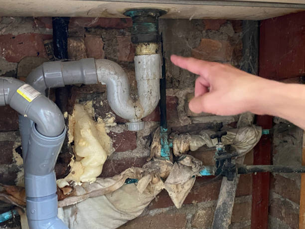 Best Fire Damage Restoration  in Sam Rayburn, TX