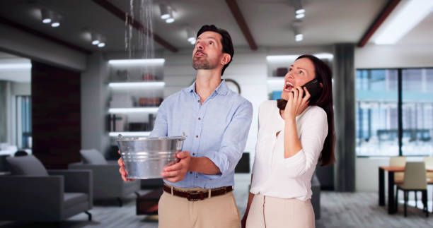 Best Professional water damage repair  in Sam Rayburn, TX