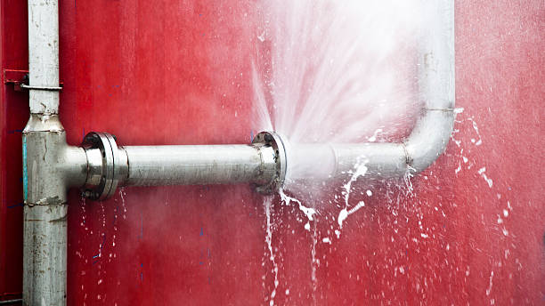 Best Water damage contractors near me  in Sam Rayburn, TX